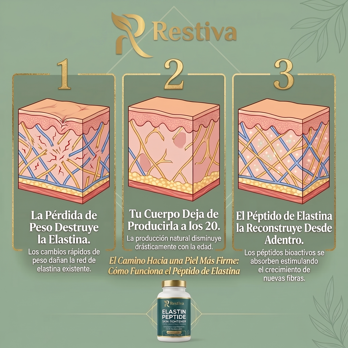 Fórmula Tensora de Piel con Péptido de Elastina
